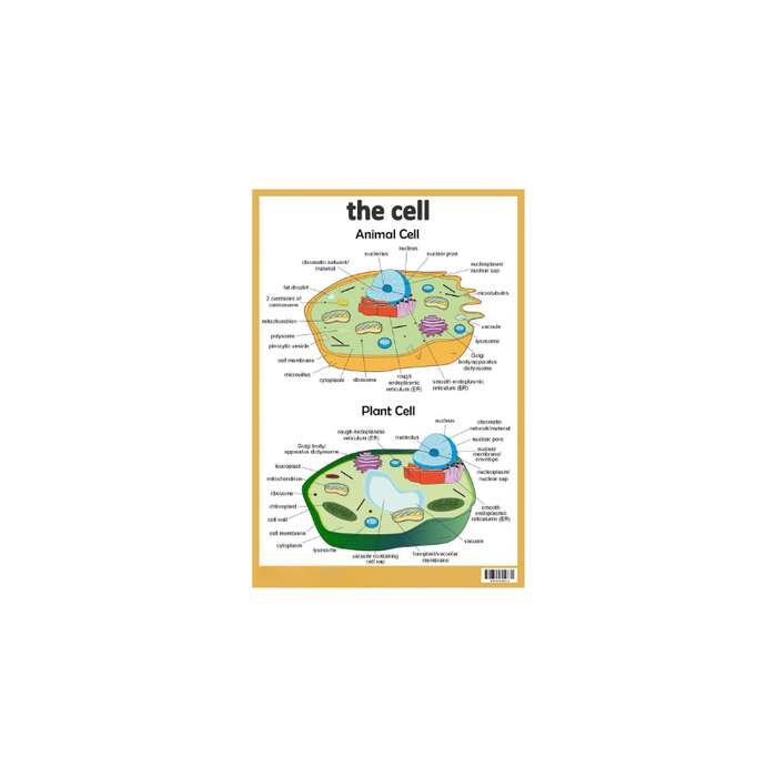 The Cell - Plant Cell and Animal Cell Wall Poster