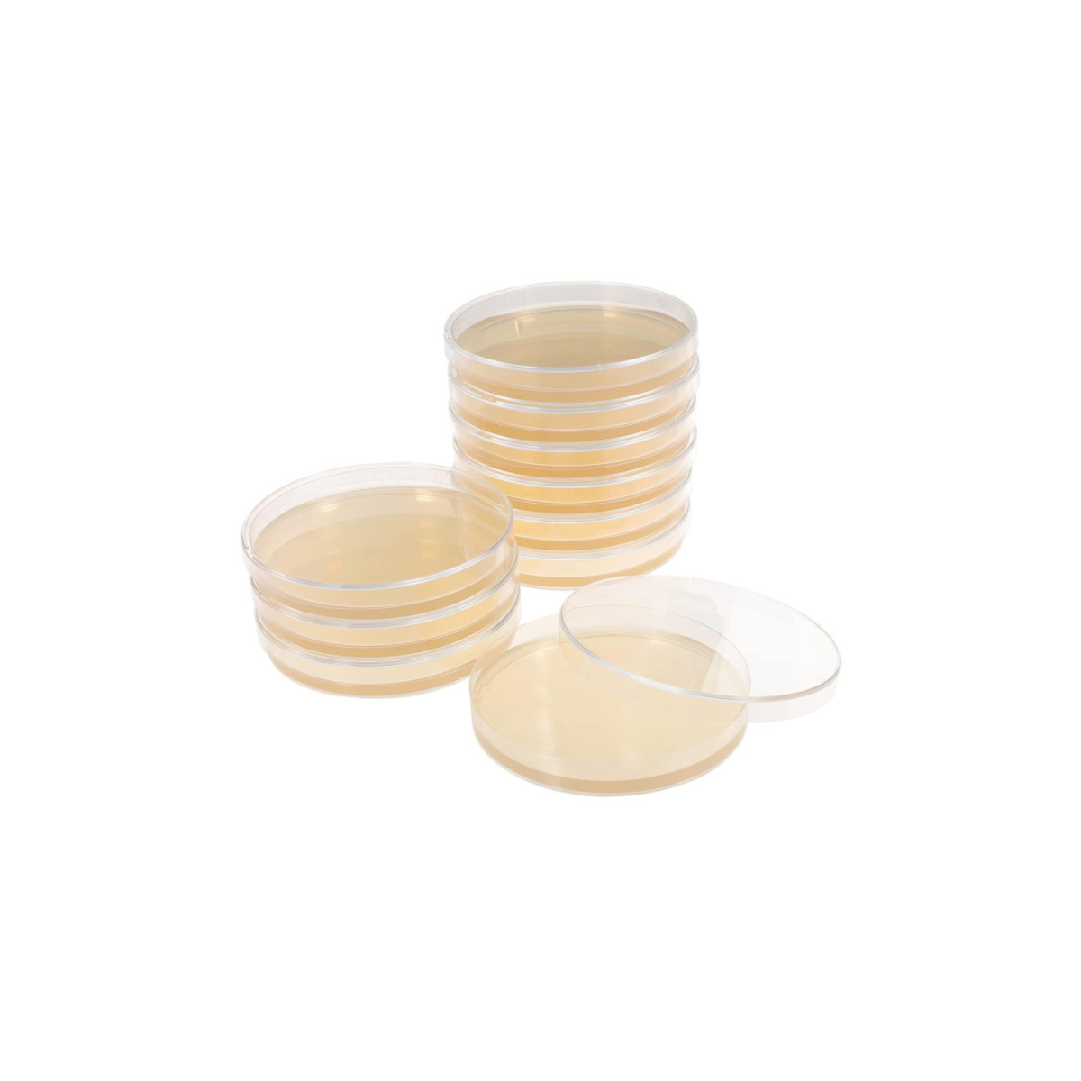 Nutrient agar plates, two stacks with an open dish in front