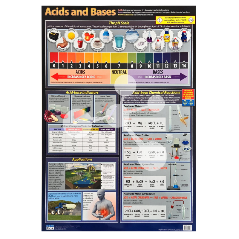 Acids and Bases Wall Chart