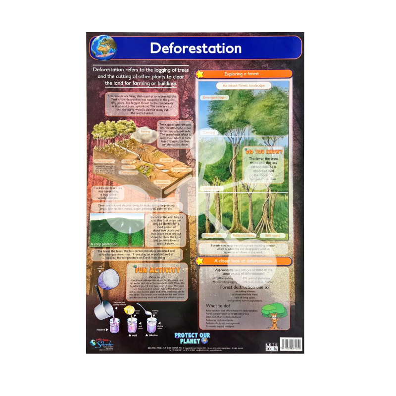 Junior deforestation wall chart showing forest layers and environmental impact for young learners