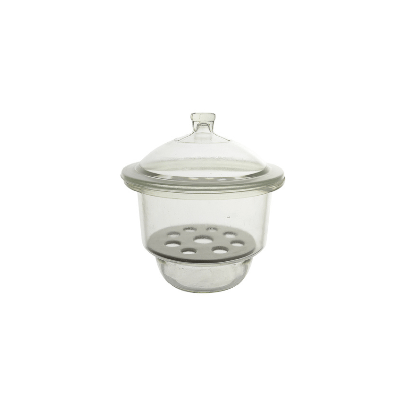 Desiccator Netural Glass