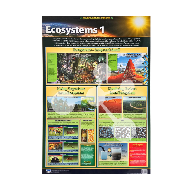 Ecosystems 1 Wall Chart
