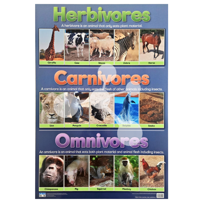 Herbivores, Carnivores and Omnivores Wall Chart