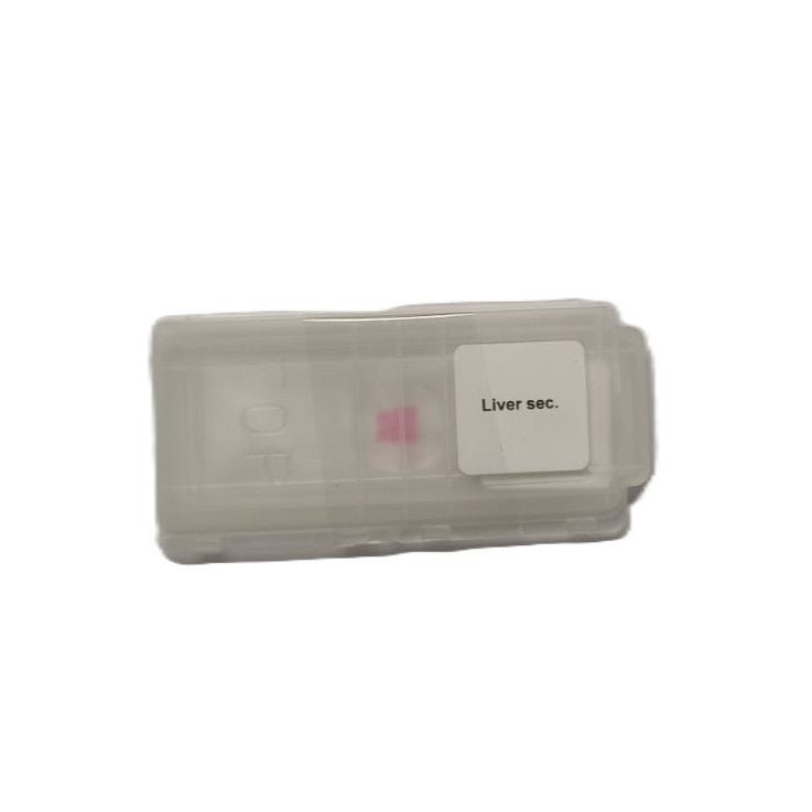Microscope Slide - Liver sec. Individually packed in PP slide mailer