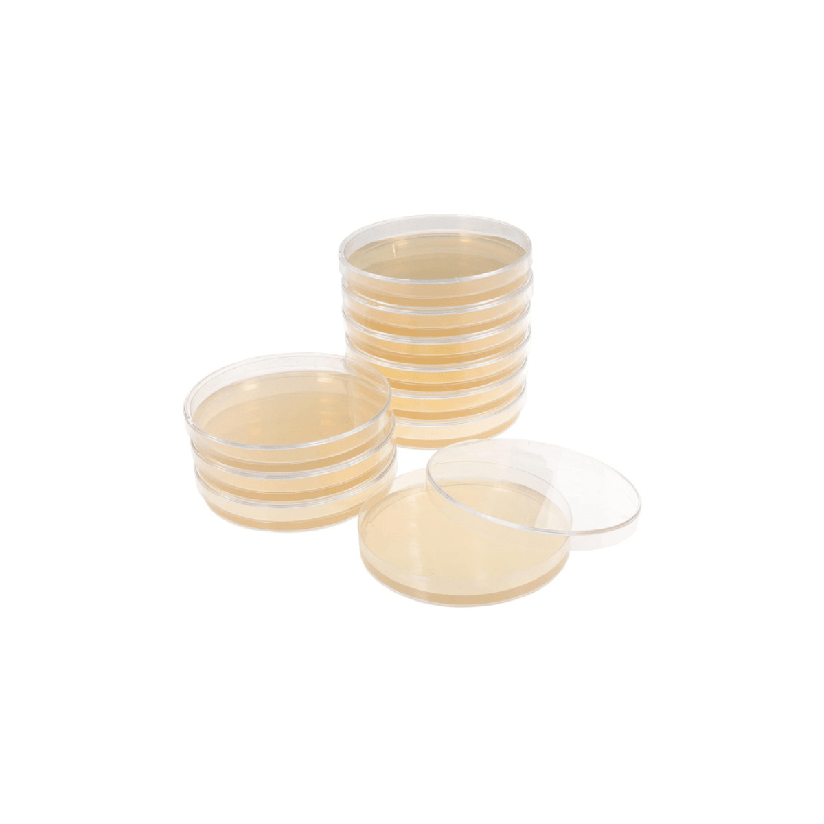 Nutrient Agar Plate - Pk 10