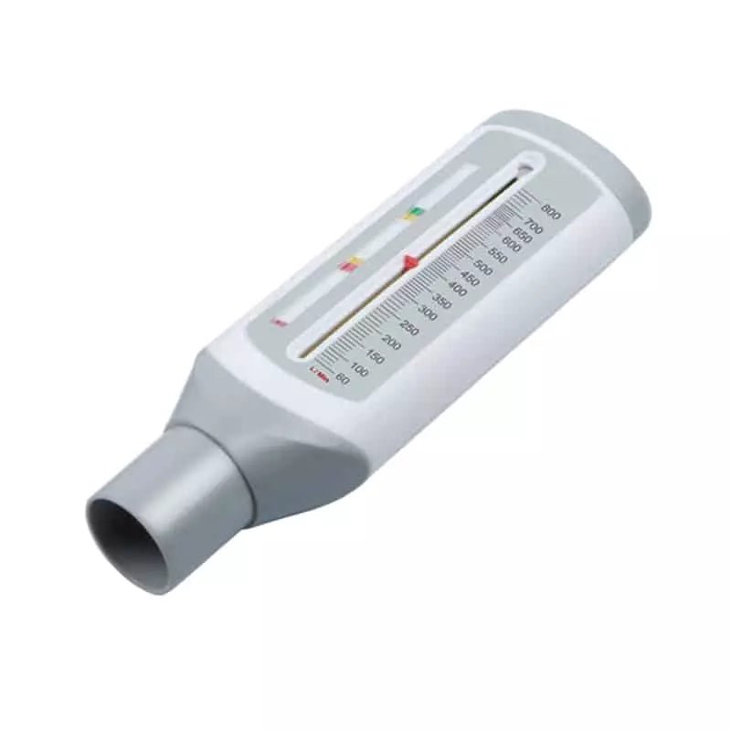 Peak flow meter