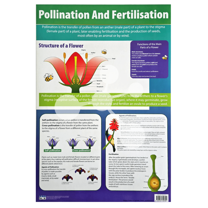 Pollination And Fertilisation Wall Chart