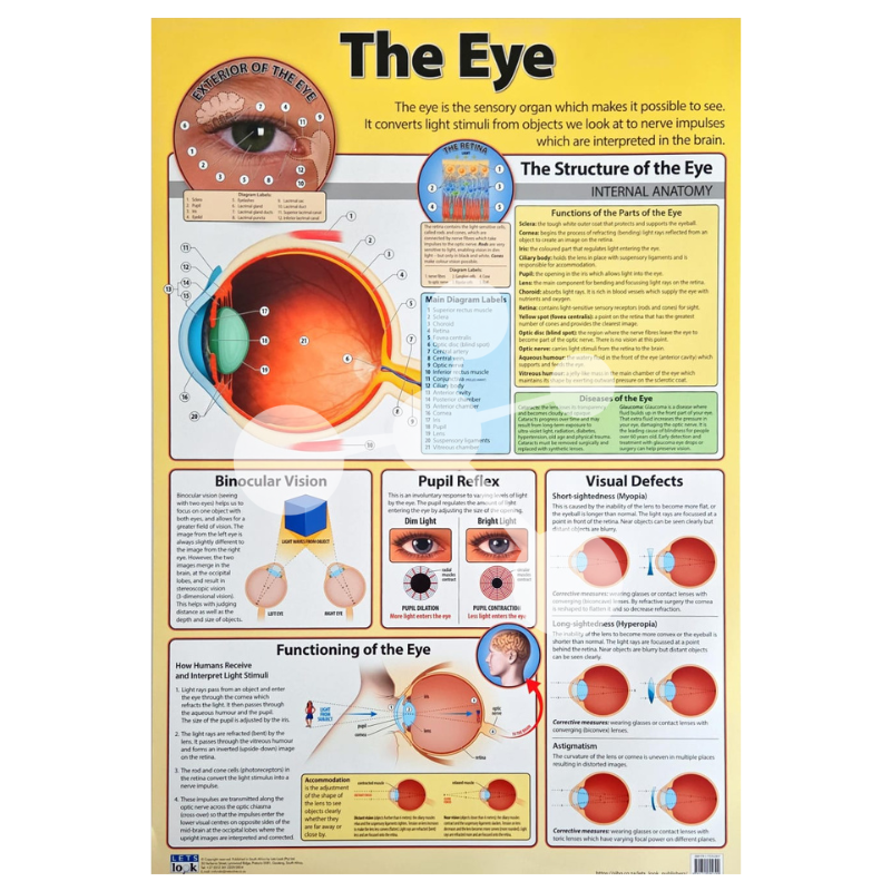 The Eye Wall Chart