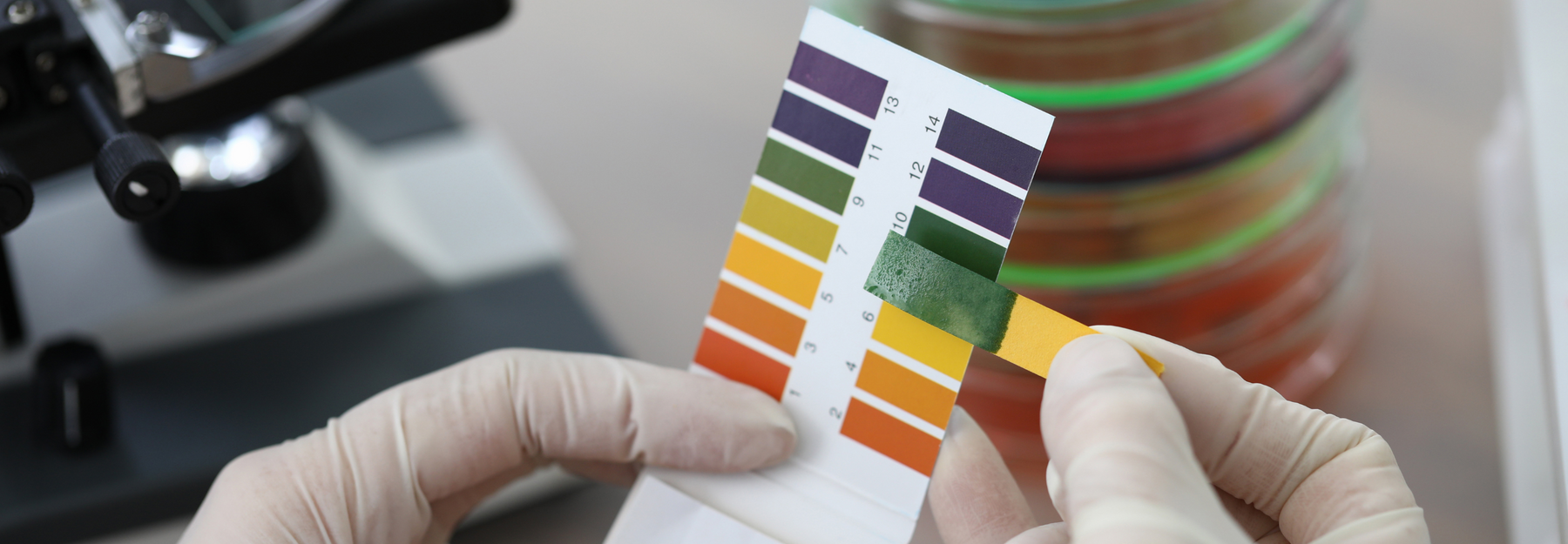 Litmus Paper: The Simple Yet Essential Tool in Science and Industry