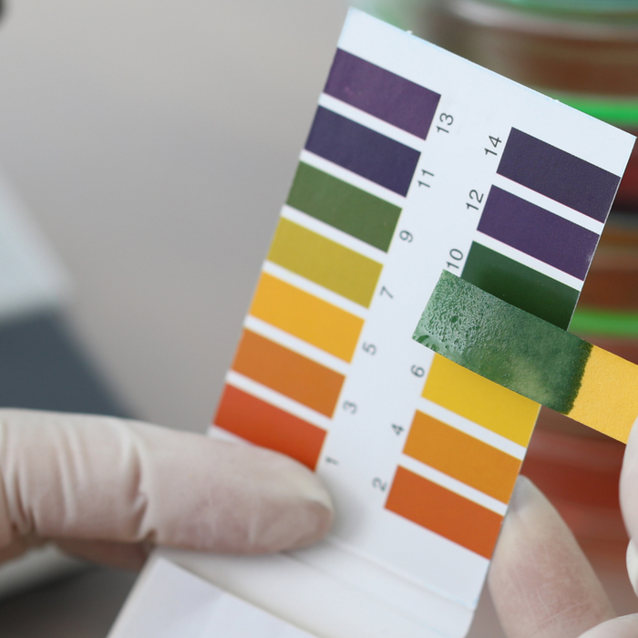 Litmus Paper: The Simple Yet Essential Tool in Science and Industry