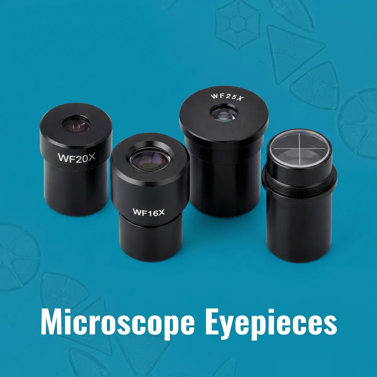 Microscope Eyepieces - SmartLabs