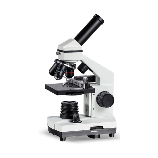 Monocular student microscope with 360 degree rotating head, three objectives and mechanical stage with vernier scales