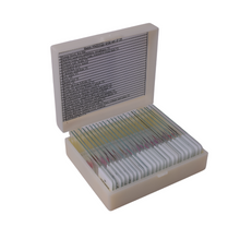 Basic Histology slide set of 25