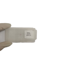 Microscope Slide - Artery, Vein and Nerve t.s. Individually packed in PP slide mailer
