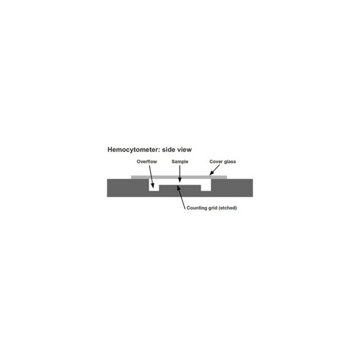 Haemocytometer Neubauer improved - Bright line, Super grade