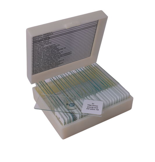 Basic Botany slide set of 25