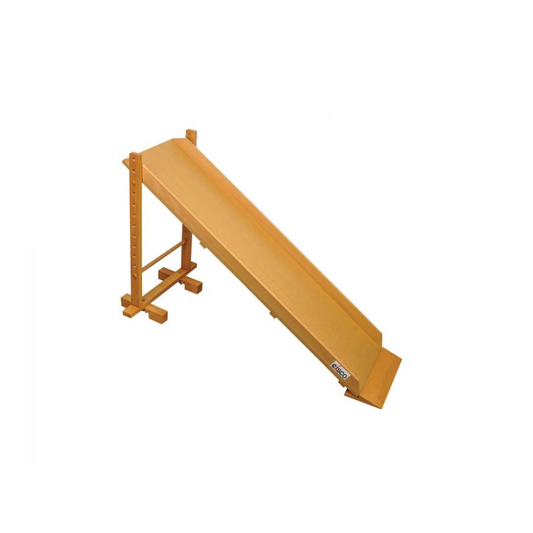 Dynamic Track