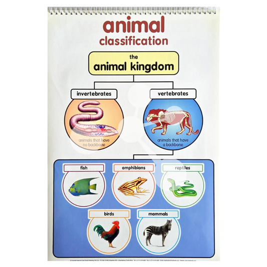 Animal classification chart showing vertebrates and invertebrates groups