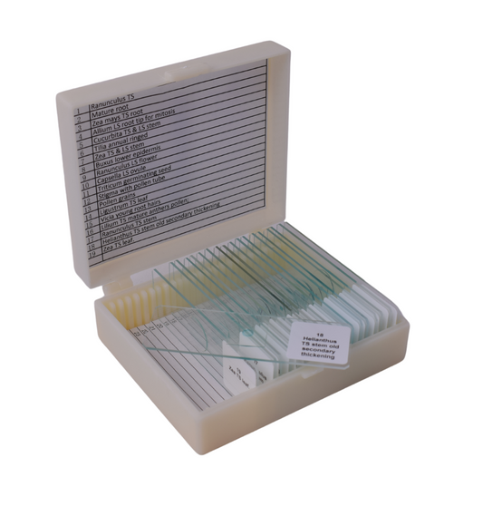 Plant Structure Microscope Prepared Slide Set