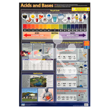 Acids and Bases Wall Chart