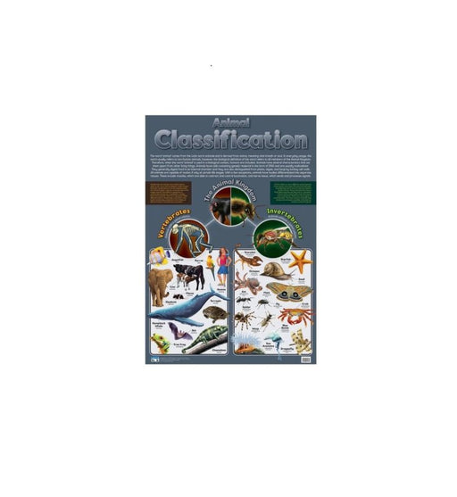 Animal classification - Wall Chart