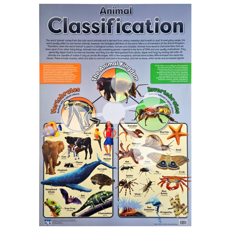 Animal Classification Wall Chart