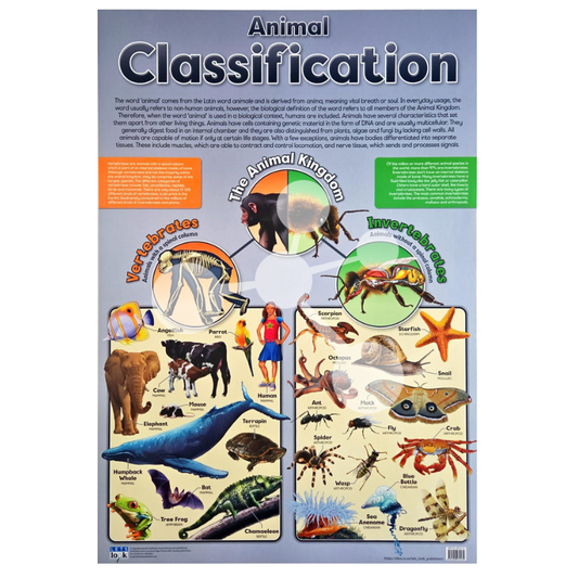Animal Classification Wall Chart