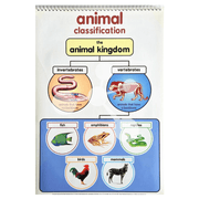 Animal classification chart showing vertebrates and invertebrates groups