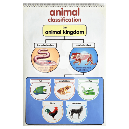 Animal classification chart showing vertebrates and invertebrates groups