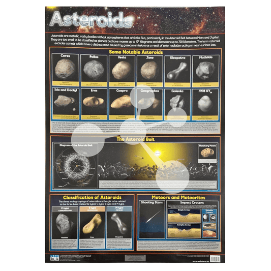 Asteroids Wall Chart