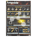 Asteroids Wall Chart