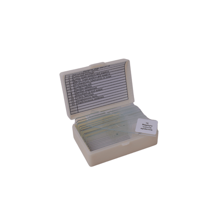 Bacteria slide Set of 12