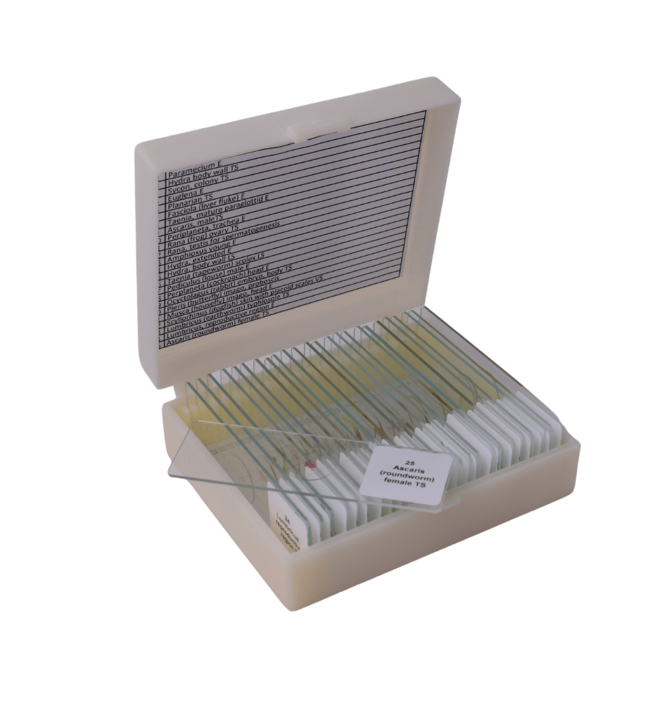 Basic Zoology slide set of 25
