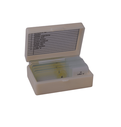 Beginners Microscope Slide set of 12