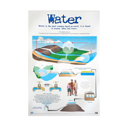 Water wall chart showing the water cycle purification process and water distribution system