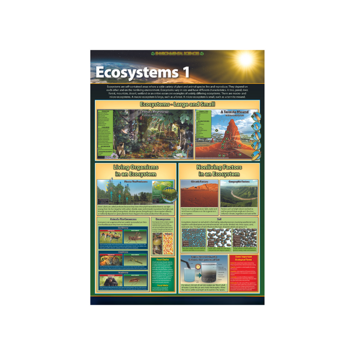 Ecosystems 1 - Wall Poster