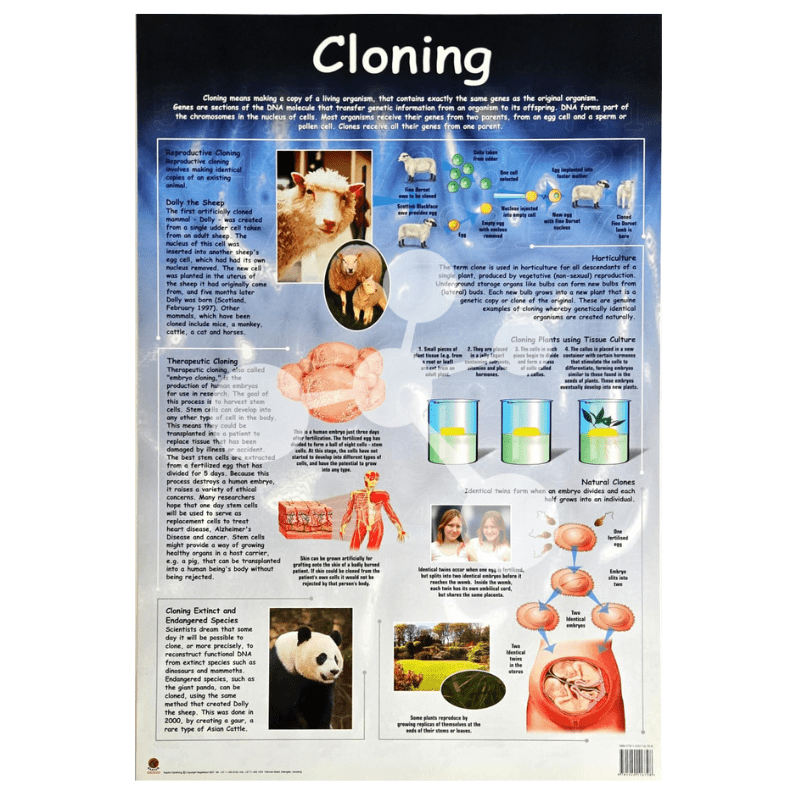 Cloning Wall Chart