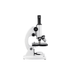 Compound Student Microscope, Metal Body, 10x and 16x Magnification, Objectives: 4x, 10x, 40x(S)