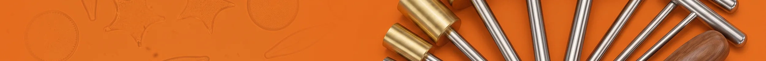 Cork Borers collection banner