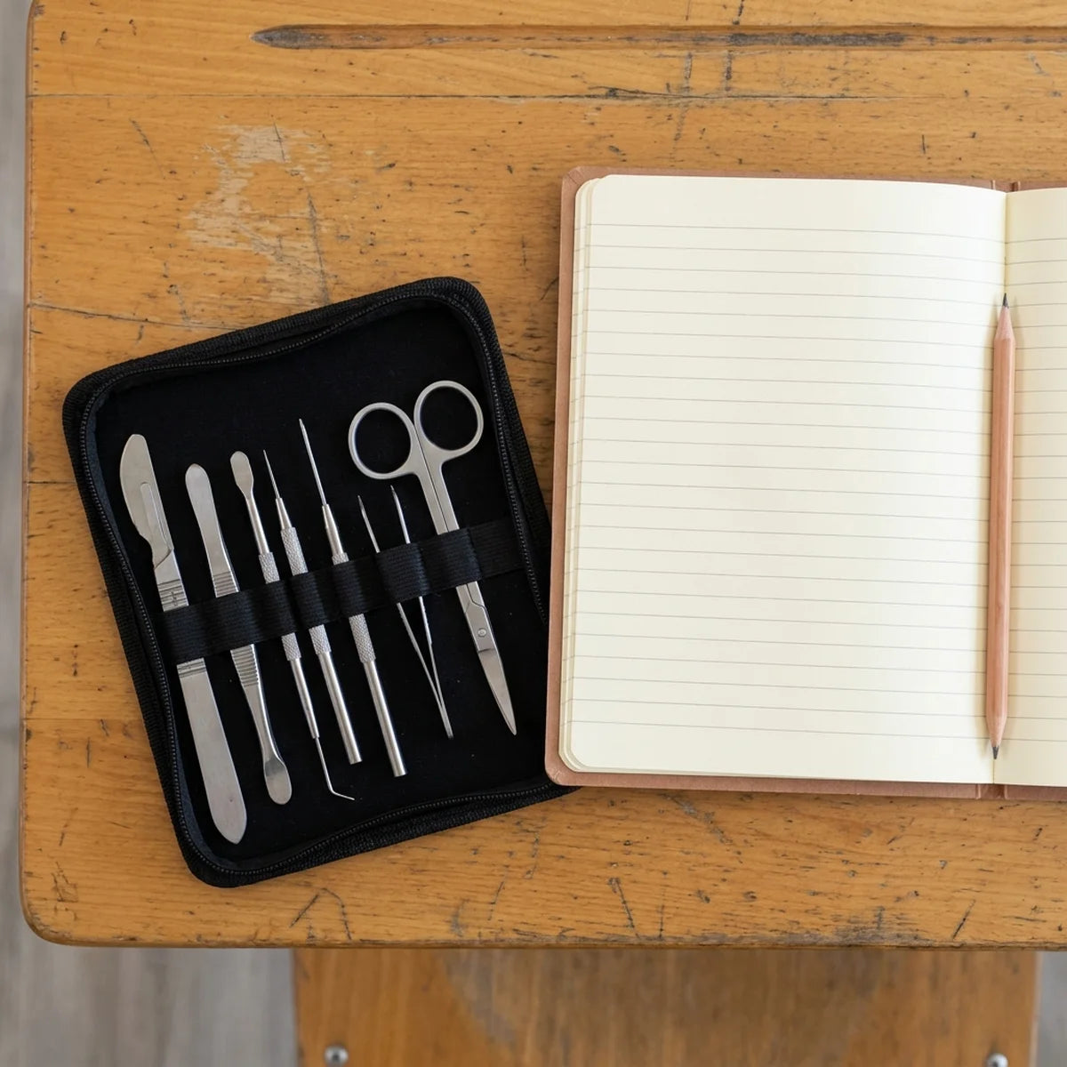 Dissecting kit for CAPS Life Sciences practicals