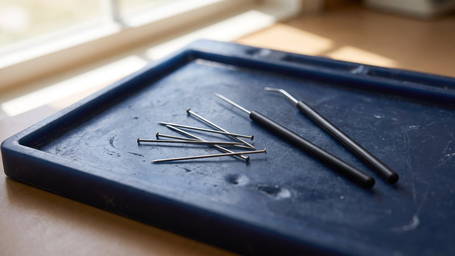 Dissecting needles and pins on lab bench