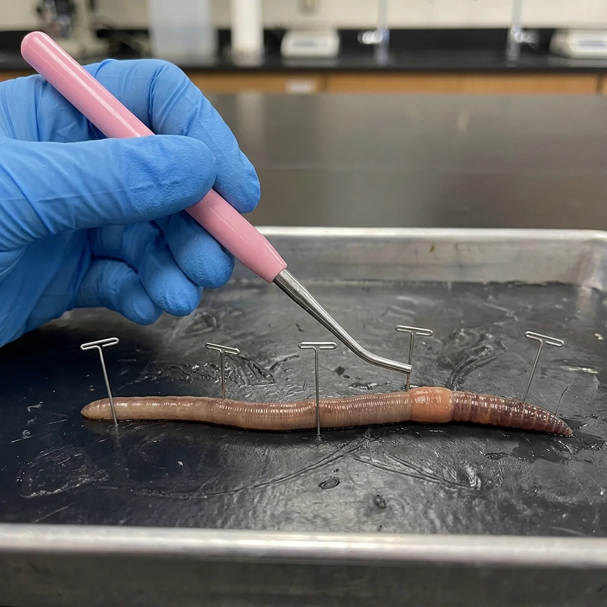 Probe used on a specimen