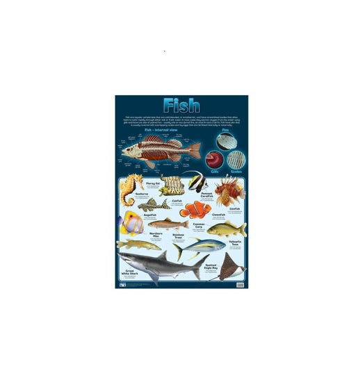 Fish - Wall Chart