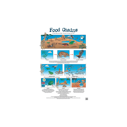 Food Chains, LL - Wall Poster