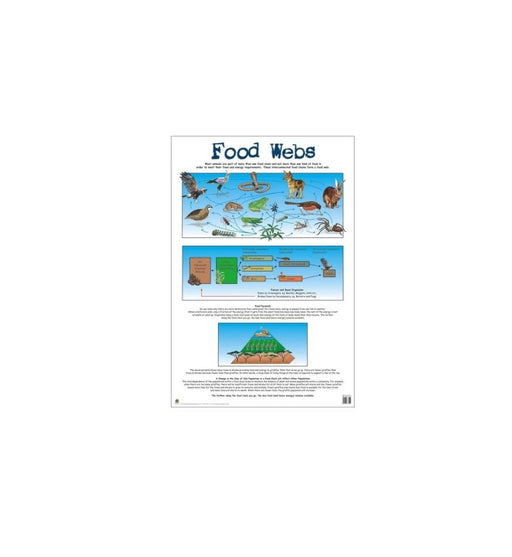 Food Webs - Wallchart
