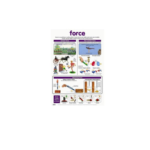 Force - Poster