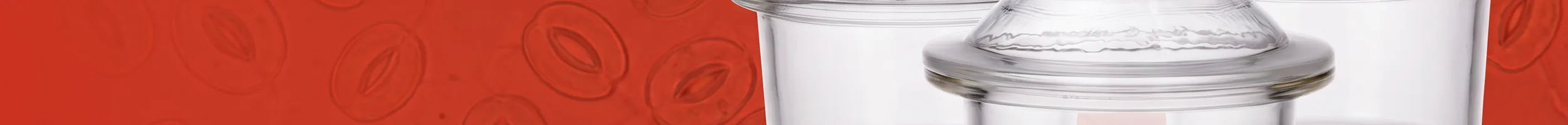 Glass desiccators collection banner