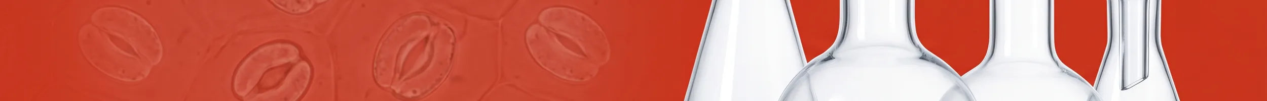 Glass flasks collection banner