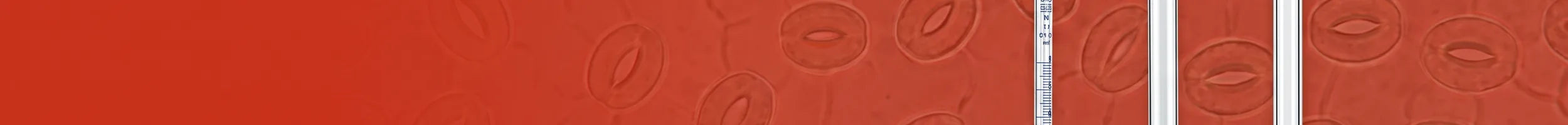 Glass pipettes collection banner