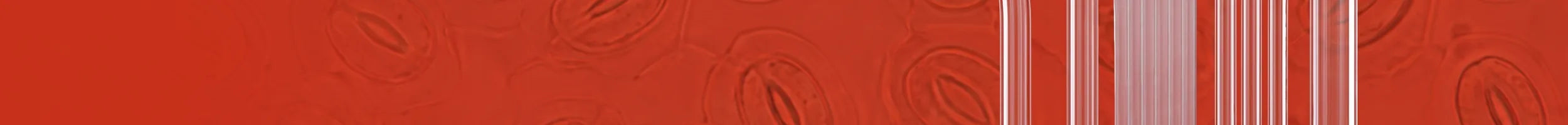 Glass spreaders collection banner